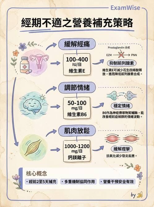 護理師 - 不孕症月經與更年期 - AI 圖文解析預覽