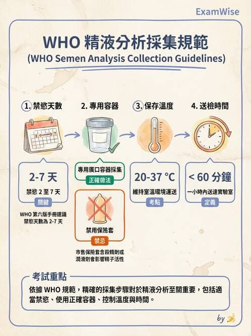 護理師 - 不孕症月經與更年期 - AI 圖文解析預覽