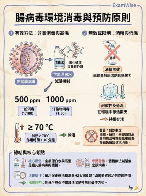 護理師 - 兒童傳染性疾病 - AI 圖文解析預覽