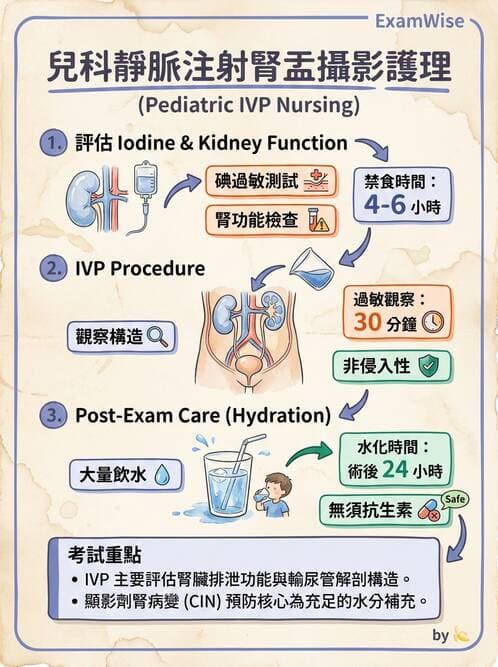 護理師 - 兒童泌尿系統疾病 - AI 圖文解析預覽