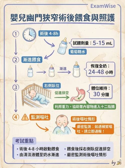 護理師 - 兒童消化系統疾病 - AI 圖文解析預覽