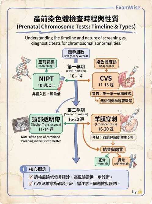 護理師 - 產前篩檢與遺傳診斷 - AI 圖文解析預覽