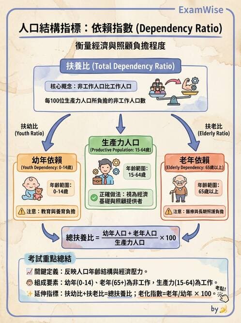 護理師 - 生命統計與健康指標 - AI 圖文解析預覽