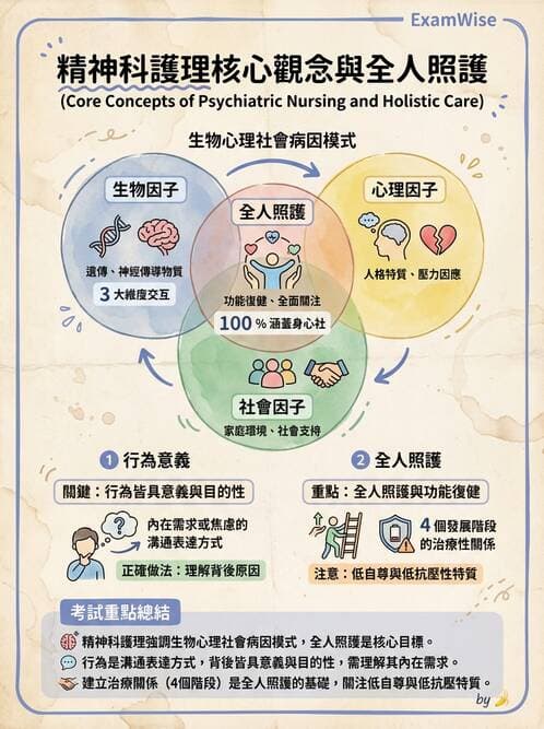 護理師 - 基本概念與專業角色 - AI 圖文解析預覽