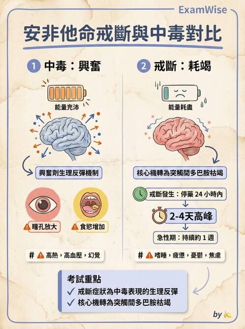 護理師 - 物質相關與成癮障礙 - AI 圖文解析預覽
