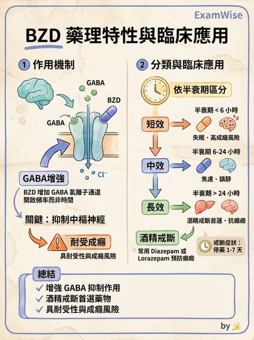 護理師 - 精神科藥物與生物治療 - AI 圖文解析預覽