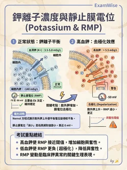 護理師 - 細胞生理 - AI 圖文解析預覽