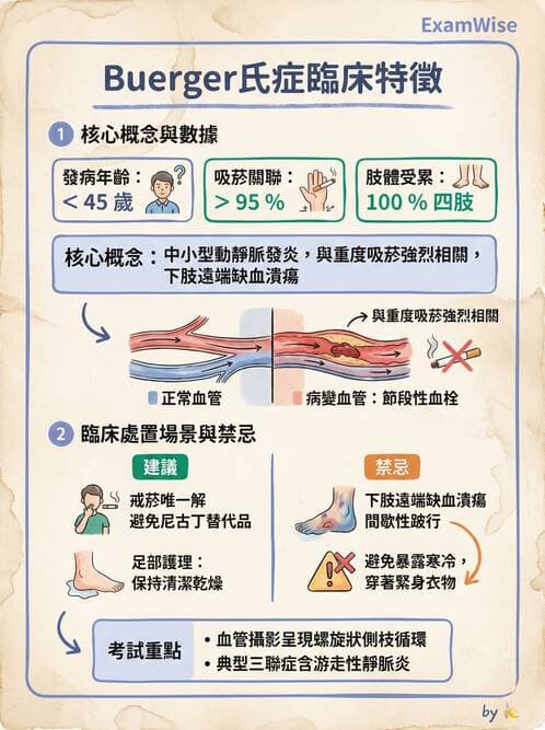 護理師 - 呼吸、循環系統 - AI 圖文解析預覽