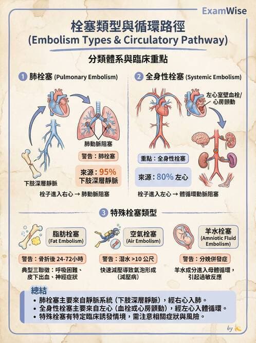 護理師 - 體液平衡 - AI 圖文解析預覽