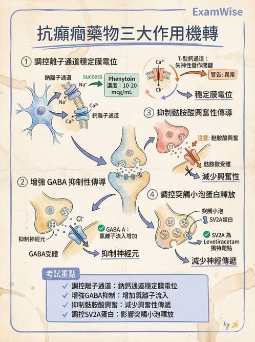 護理師 - 鎮痛、麻醉與神經科藥物 - AI 圖文解析預覽