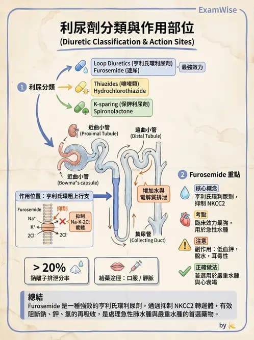 護理師 - 抗高血壓與血管藥物 - AI 圖文解析預覽