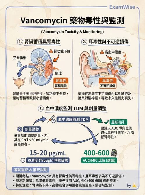 護理師 - 抗感染藥物 - AI 圖文解析預覽