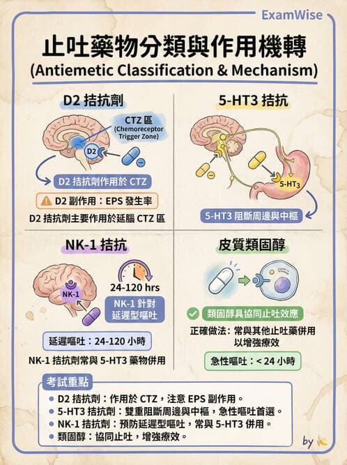 護理師 - 呼吸道及胃腸道作用藥物 - AI 圖文解析預覽