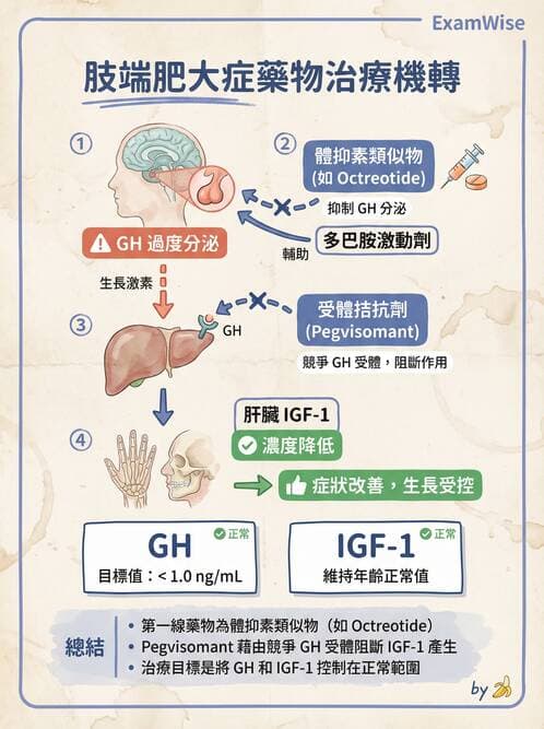 護理師 - 影響新陳代謝及內分泌功能藥物 - AI 圖文解析預覽