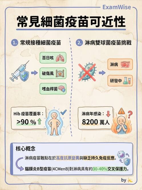 護理師 - 革蘭氏陰性細菌 - AI 圖文解析預覽