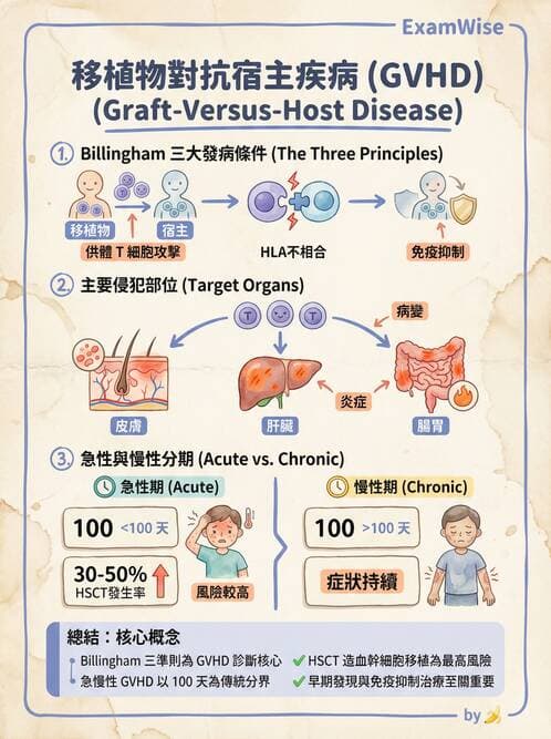 護理師 - 臨床免疫:免疫異常 - AI 圖文解析預覽
