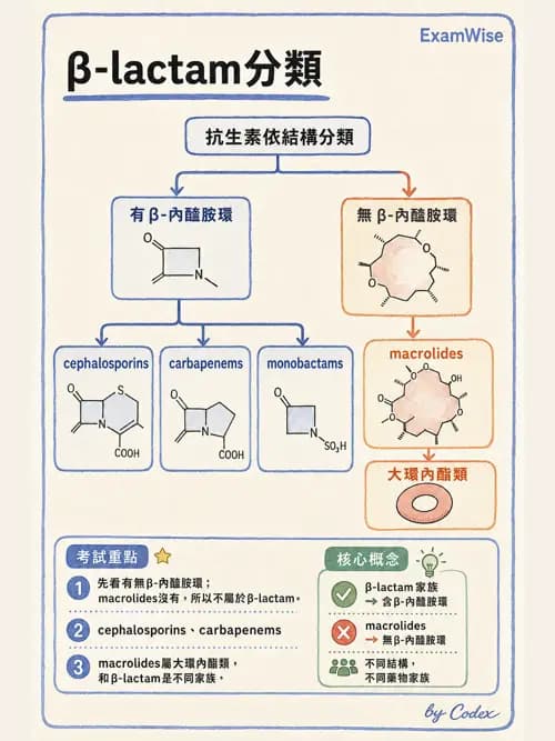 呼吸治療師 - 藥理學概論與抗感染藥物 - AI 圖文解析預覽