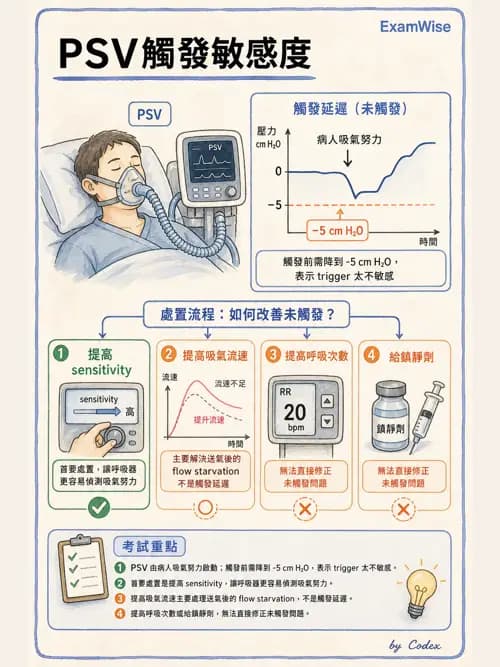呼吸治療師 - 長期呼吸照護 - AI 圖文解析預覽