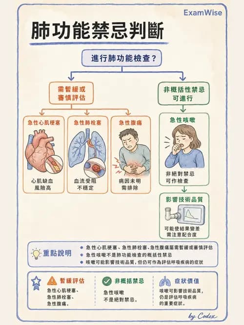 呼吸治療師 - 呼吸功能檢查 - AI 圖文解析預覽