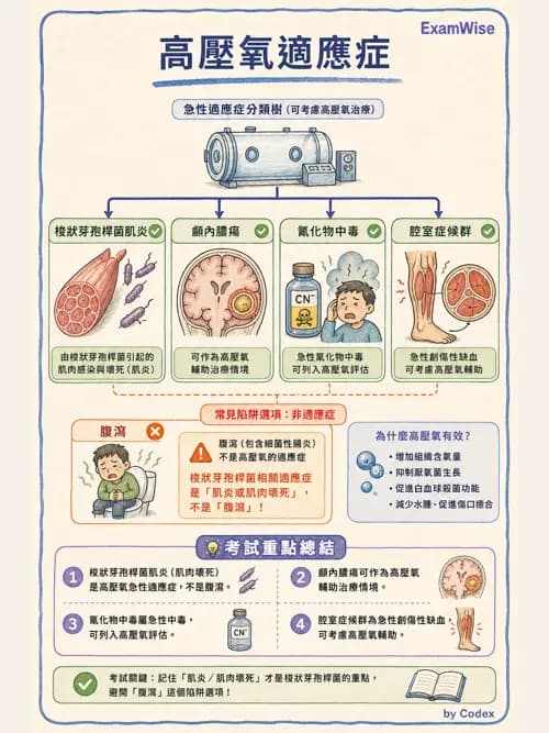 呼吸治療師 - 高壓氧治療 - AI 圖文解析預覽
