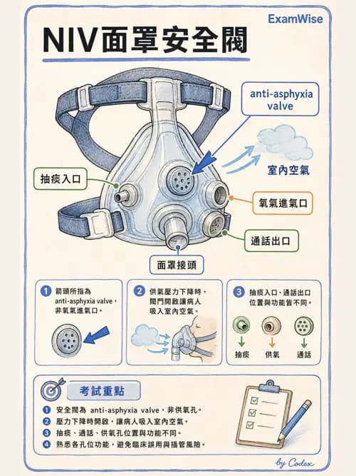 呼吸治療師 - 人工氣道處置 - AI 圖文解析預覽