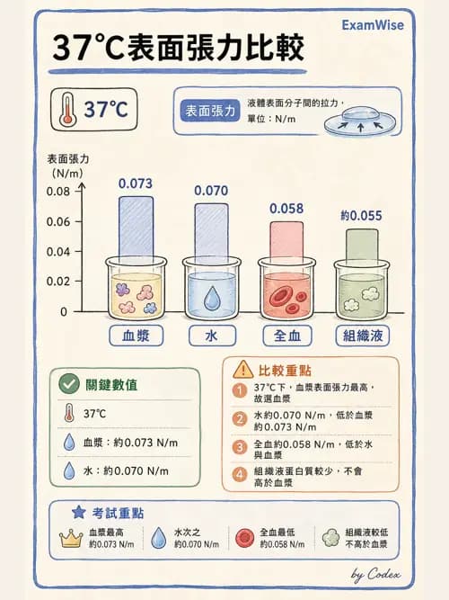 呼吸治療師 - 氣體物理學 - AI 圖文解析預覽