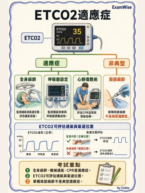呼吸治療師 - 非侵入性呼吸監測設備 - AI 圖文解析預覽