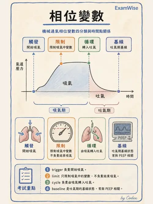 呼吸治療師 - 呼吸器設計與通氣模式 - AI 圖文解析預覽