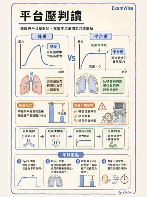 呼吸治療師 - 機械通氣生理 - AI 圖文解析預覽