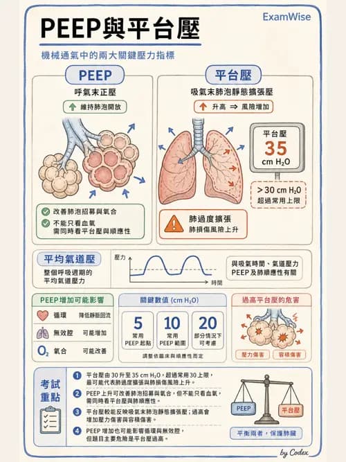 呼吸治療師 - 臨床設定、參數調整與脫離 - AI 圖文解析預覽