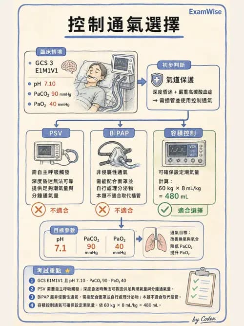 呼吸治療師 - 呼吸器圖形判讀與故障排除 - AI 圖文解析預覽