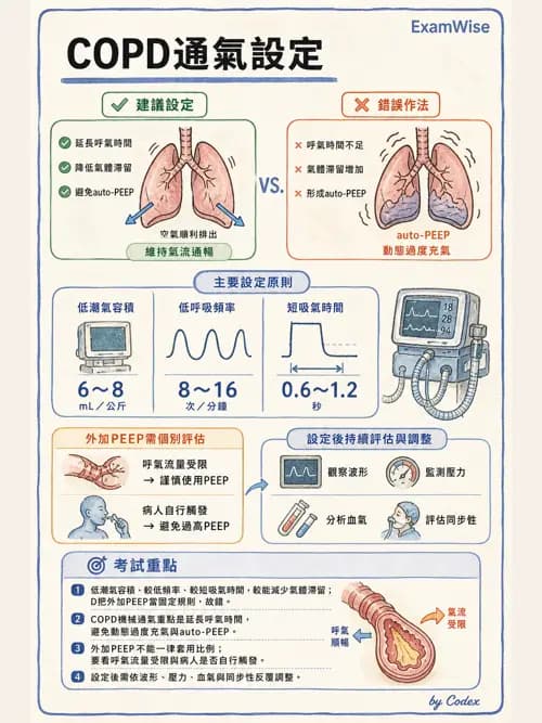 呼吸治療師 - 臨床設定、參數調整與脫離 - AI 圖文解析預覽