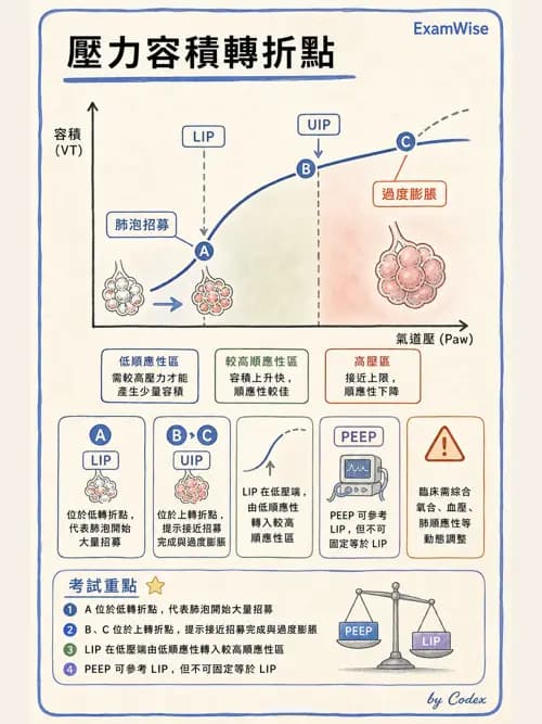 呼吸治療師 - 呼吸器圖形判讀與故障排除 - AI 圖文解析預覽