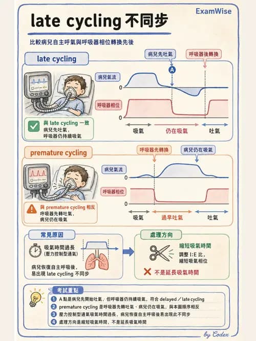 呼吸治療師 - 小兒呼吸器支持 - AI 圖文解析預覽