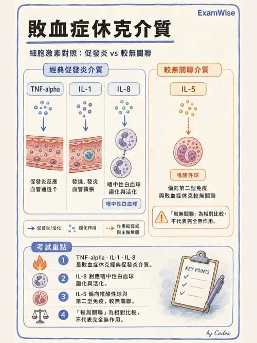 呼吸治療師 - 休克、敗血症與多器官衰竭 - AI 圖文解析預覽