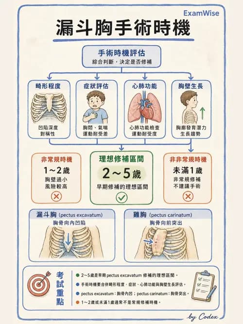 呼吸治療師 - 術後與其他呼吸重症 - AI 圖文解析預覽