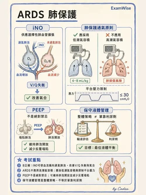 呼吸治療師 - 重症特殊處置 - AI 圖文解析預覽