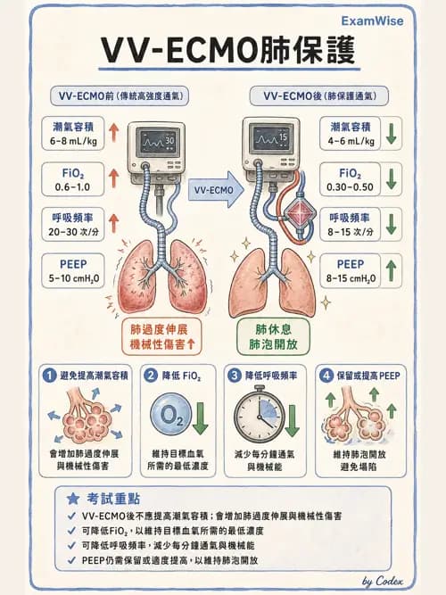 呼吸治療師 - 重症特殊處置 - AI 圖文解析預覽