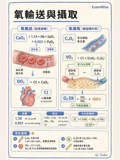 呼吸治療師 - 重症監測與判讀 - AI 圖文解析預覽