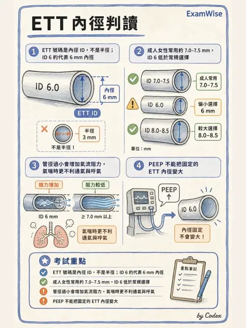 呼吸治療師 - 呼吸器併發症與感染 - AI 圖文解析預覽