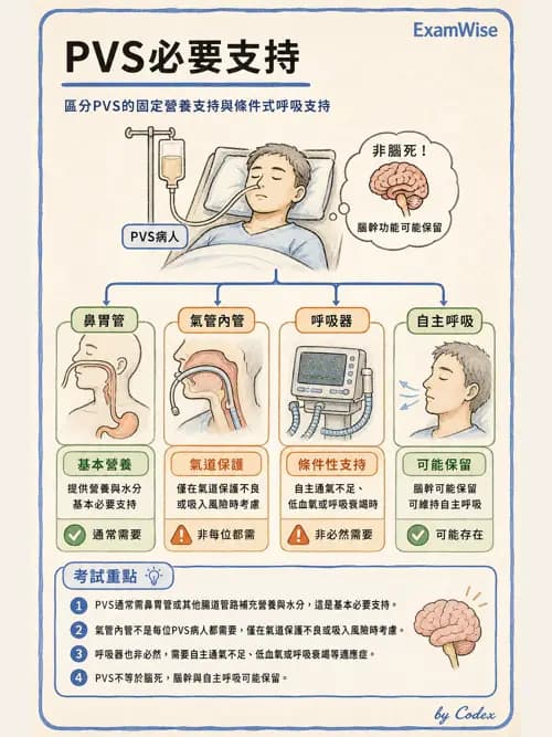 呼吸治療師 - 呼吸器併發症與感染 - AI 圖文解析預覽