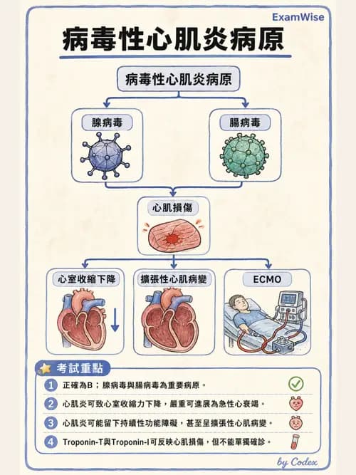 呼吸治療師 - 小兒相關重症 - AI 圖文解析預覽