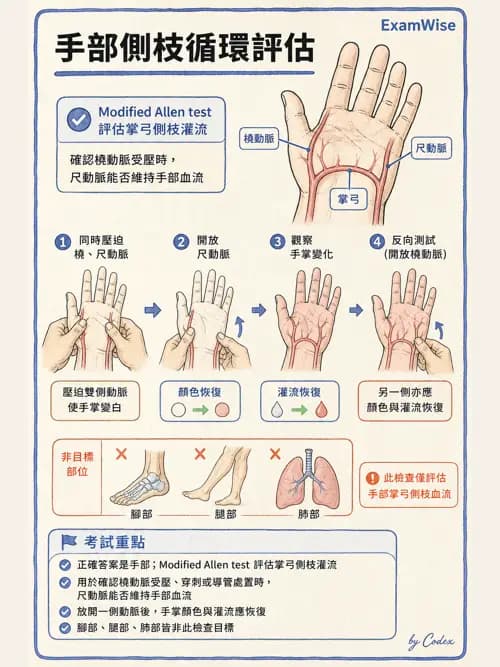 呼吸治療師 - 病人評估與衛教 - AI 圖文解析預覽