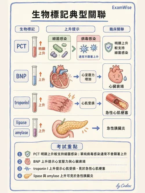 呼吸治療師 - 病人評估與衛教 - AI 圖文解析預覽
