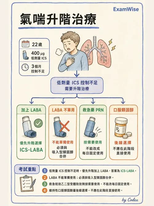 呼吸治療師 - 慢性氣道疾病 - AI 圖文解析預覽