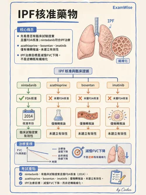 呼吸治療師 - 肺間質病變 - AI 圖文解析預覽