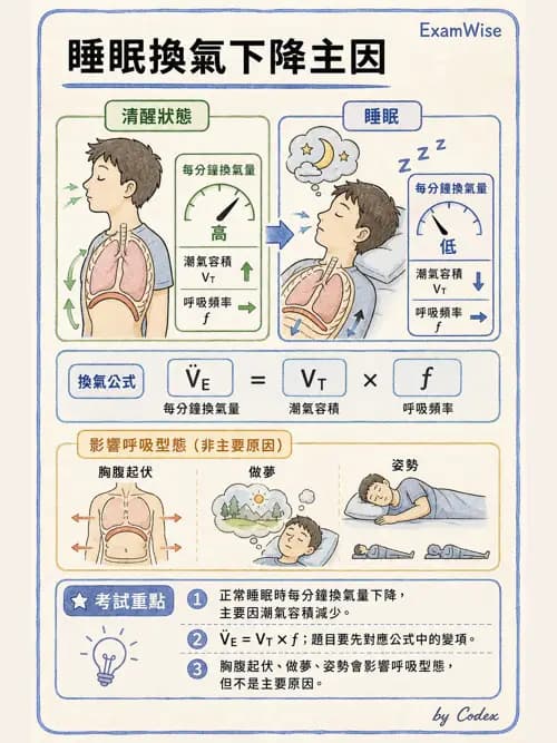 呼吸治療師 - 睡眠相關呼吸障礙 - AI 圖文解析預覽
