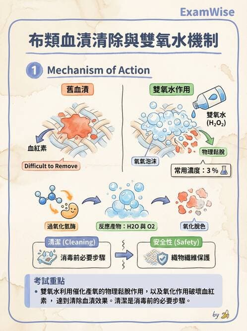 護理師 - 無菌消毒與感染控制 - AI 圖文解析預覽