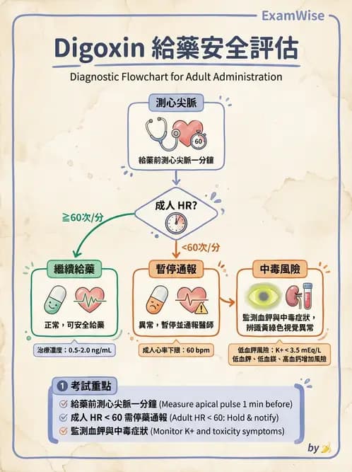 護理師 - 輸血與藥物計算 - AI 圖文解析預覽
