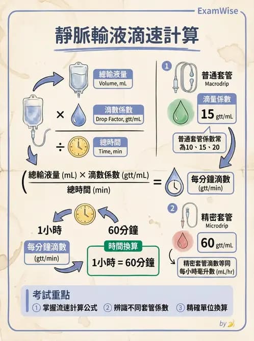 護理師 - 靜脈輸液與電解質平衡 - AI 圖文解析預覽